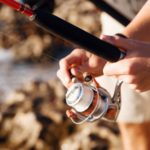 Fishing poles (reels) 