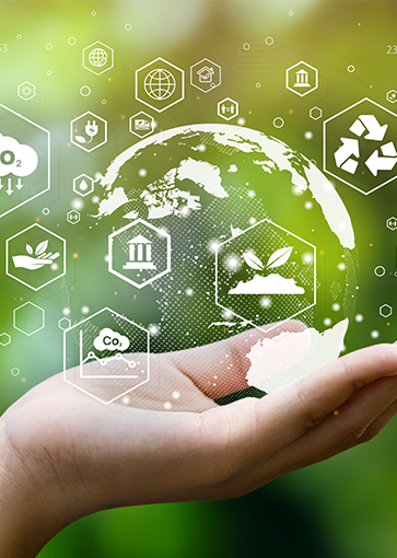 代表取締役社長 山口 芳基